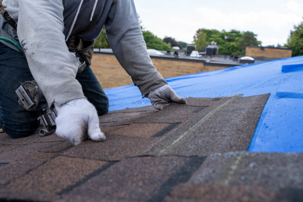 Best Shingle Roofing Installation  in Kewaunee, WI